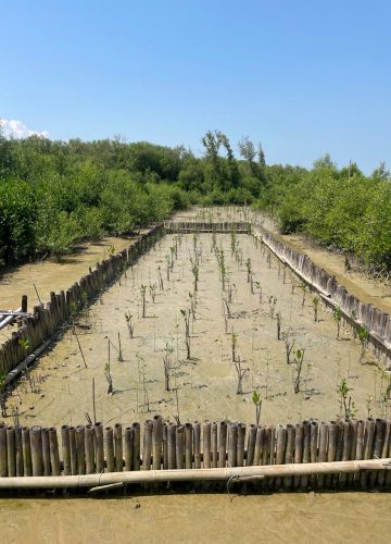 WhatsApp Image 2025-11-20 at 10.14.23_aa9b7597